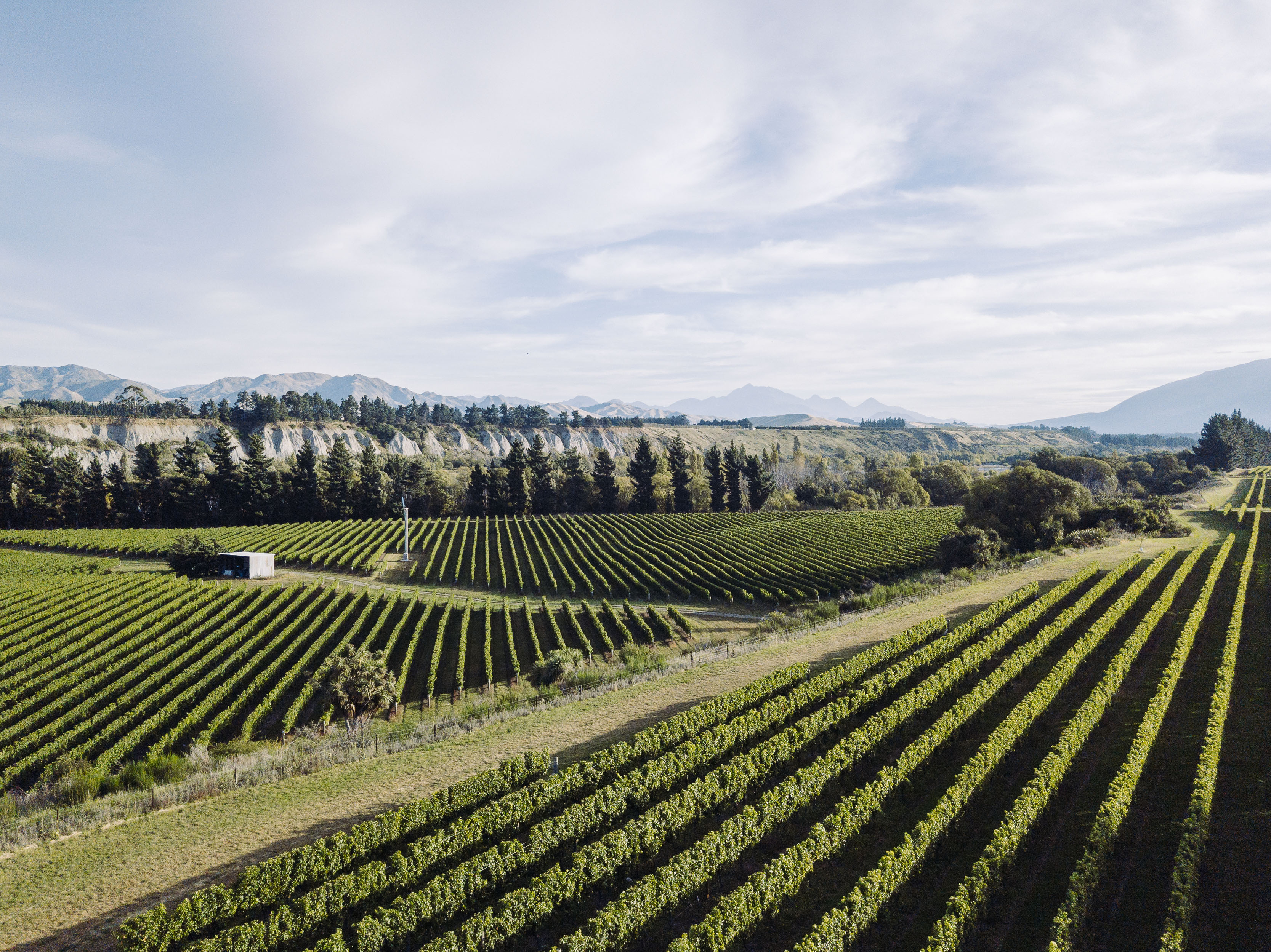 The Crossings 10 - Willowflat Vineyard